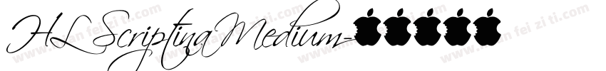 HL Scriptina Medium字体转换